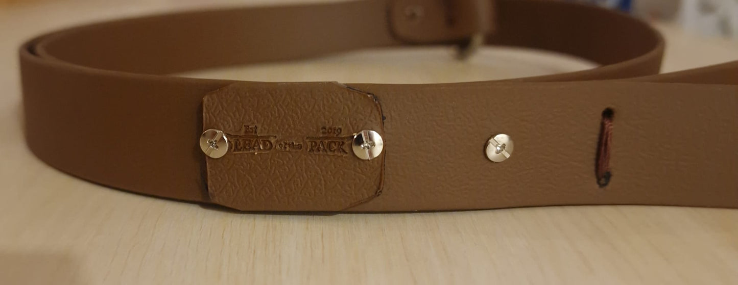 The Trelech Slip Lead
