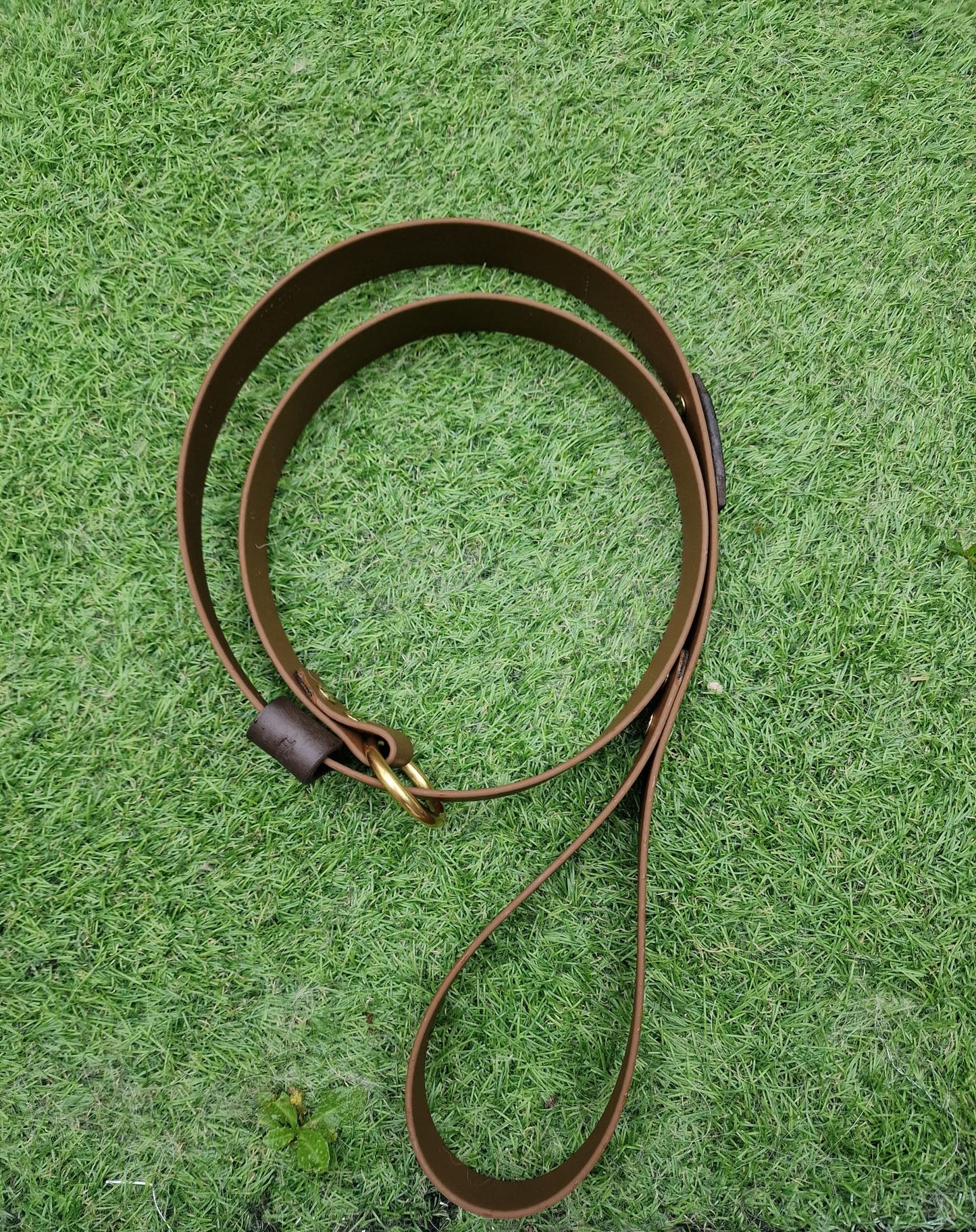 The Trelech Slip Lead