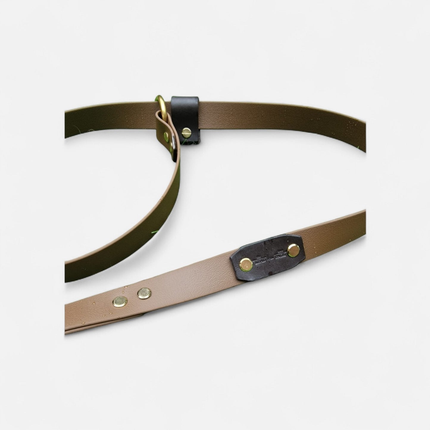 The Trelech Slip Lead