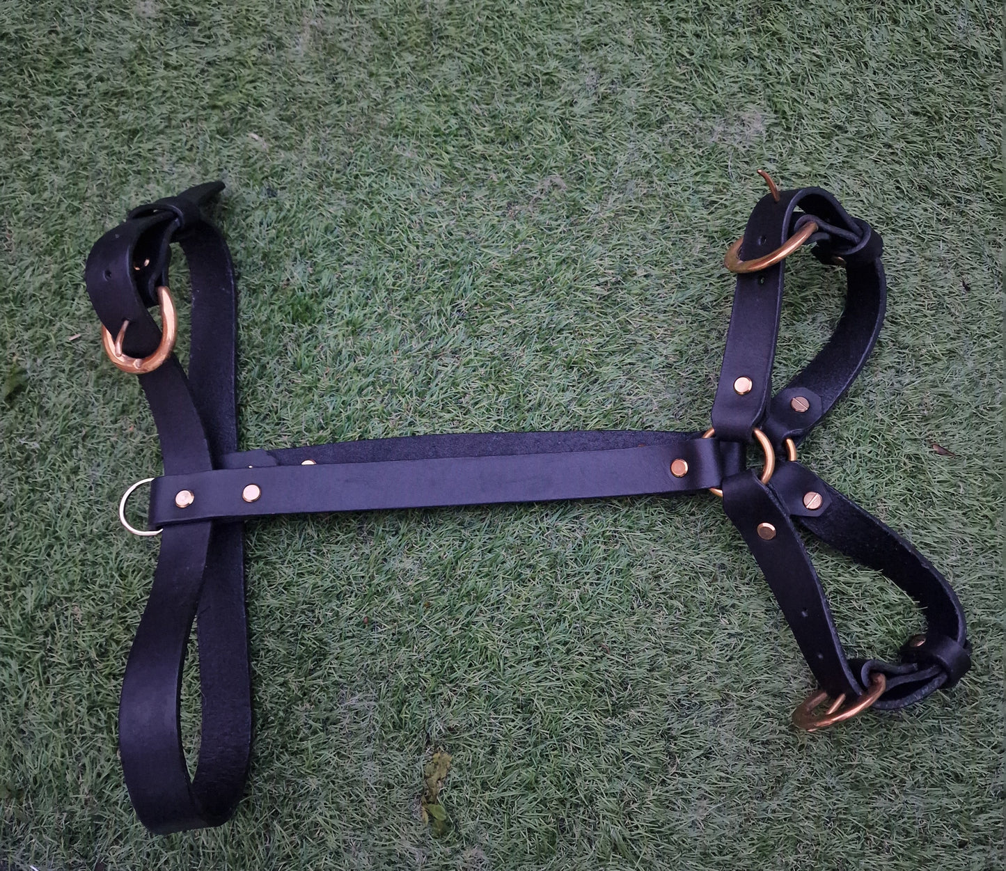 The Saundersfoot Leather Harness