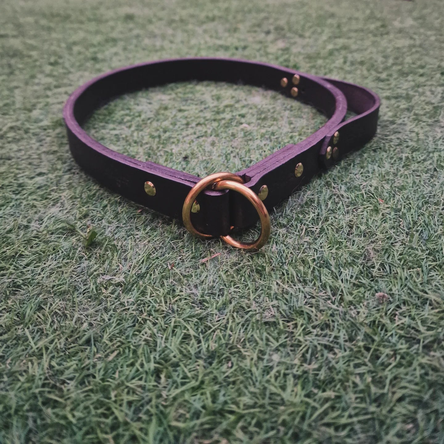 The Heritage Collection