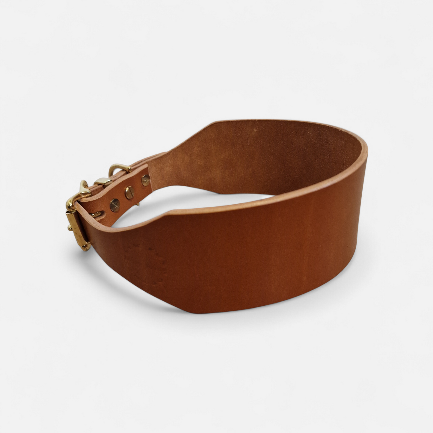 The Dale Collar