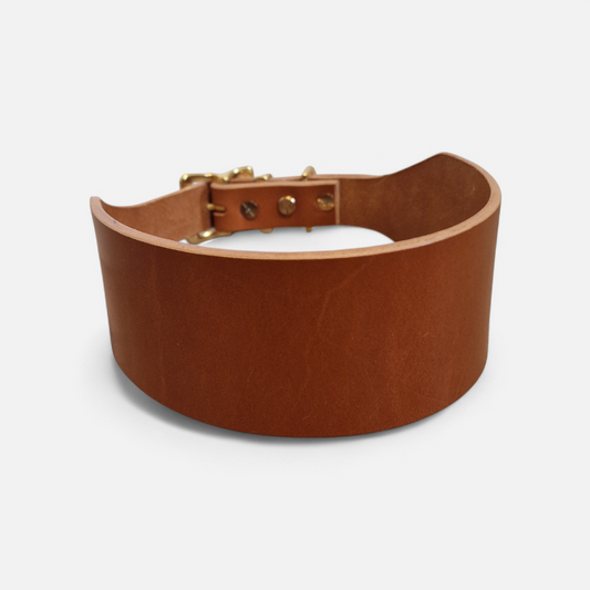 The Dale Collar