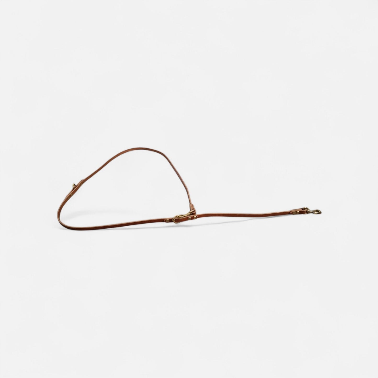 The Mwnt training lead - Bridle Leather