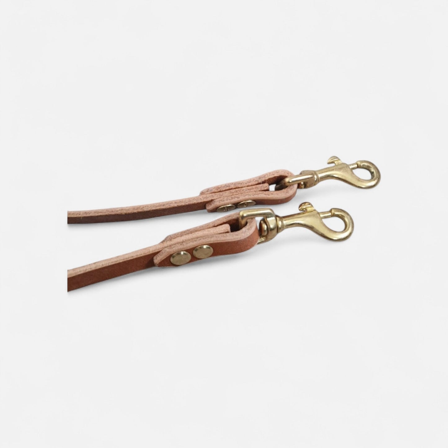 The Mwnt training lead - Bridle Leather