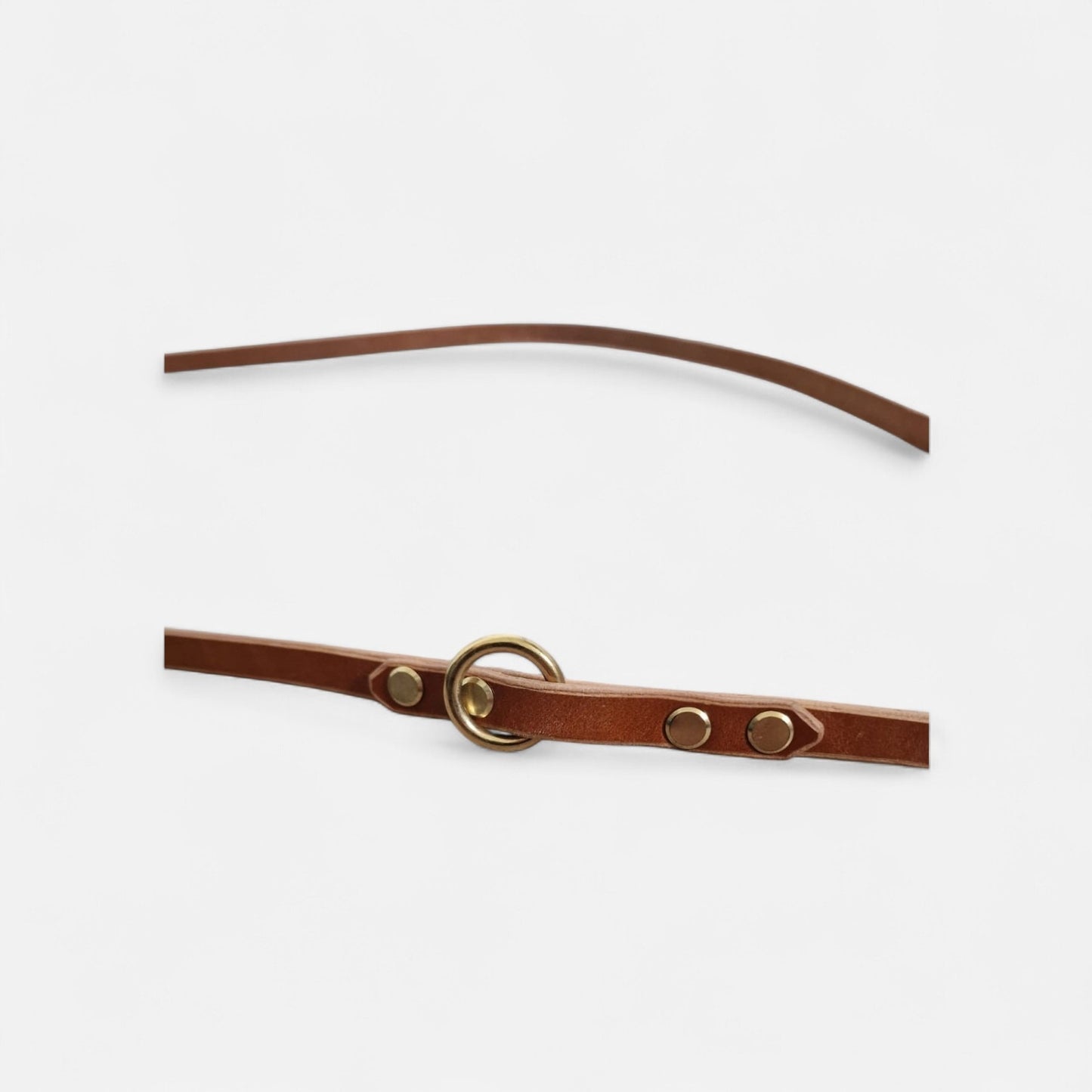 The Mwnt training lead - Bridle Leather