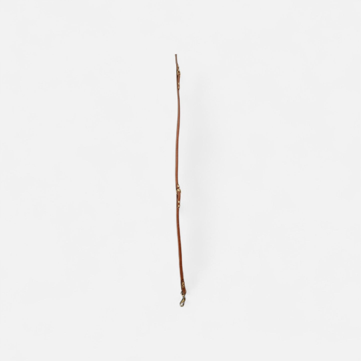 The Mwnt training lead - Bridle Leather