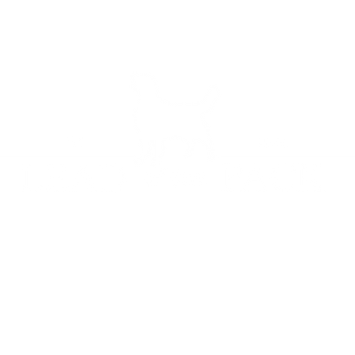 LEAD OF THE PACK 