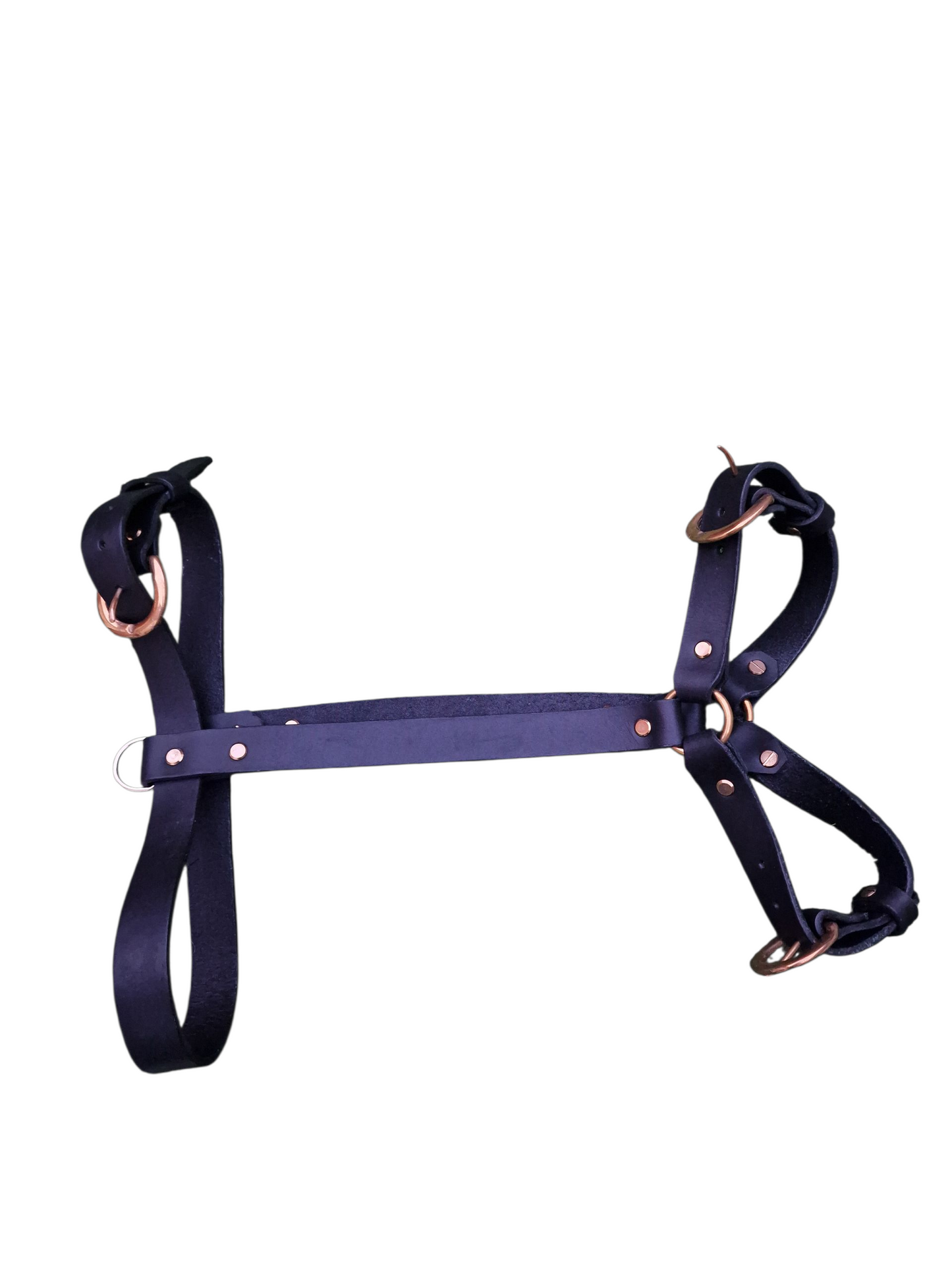 The Saundersfoot Leather Harness