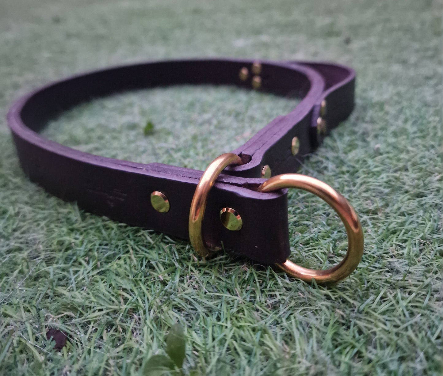 The Llandeilo Leather Slip Collar