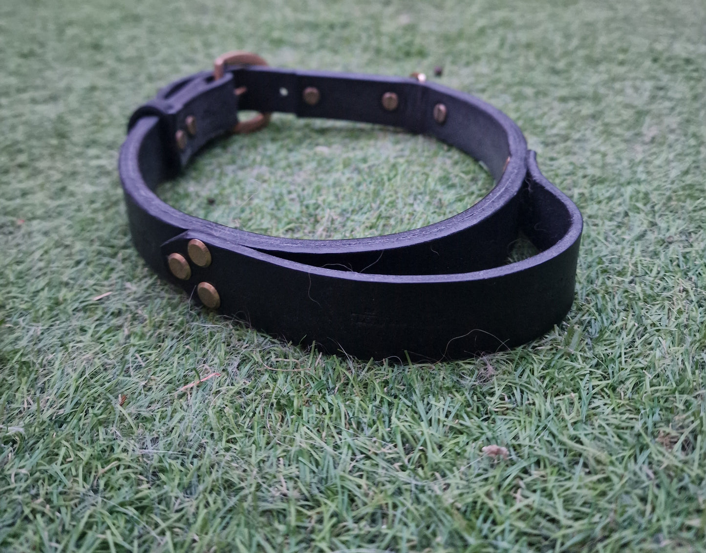 The Pembroke Leather Collar