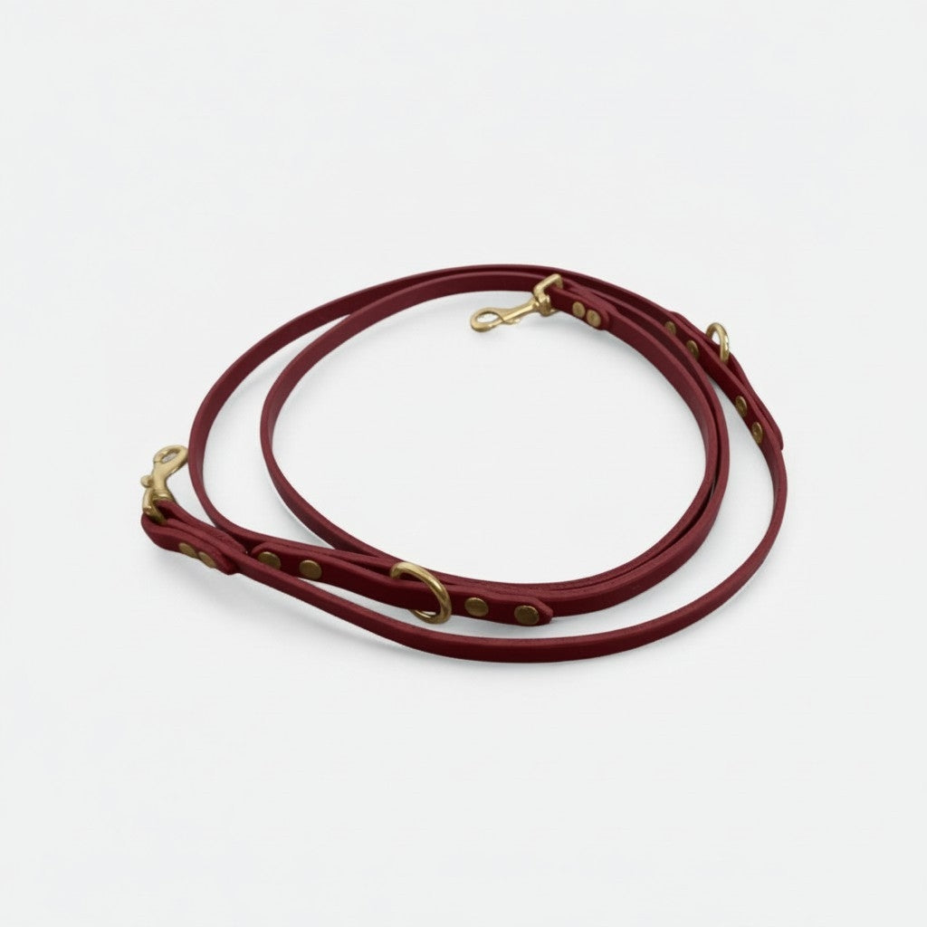 The Mwnt training lead - Bridle Leather