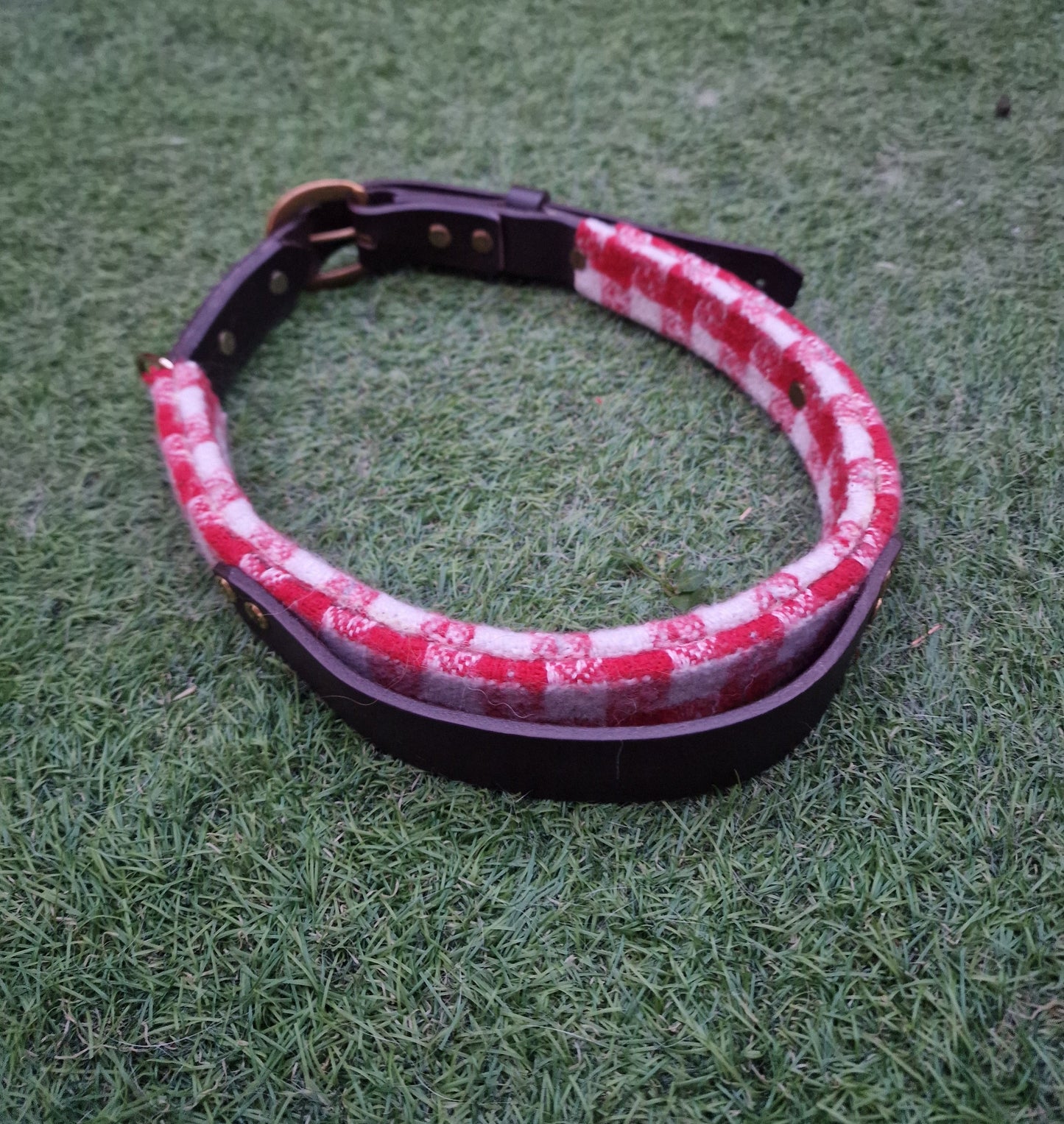 The Llanhamlach Leather Collar