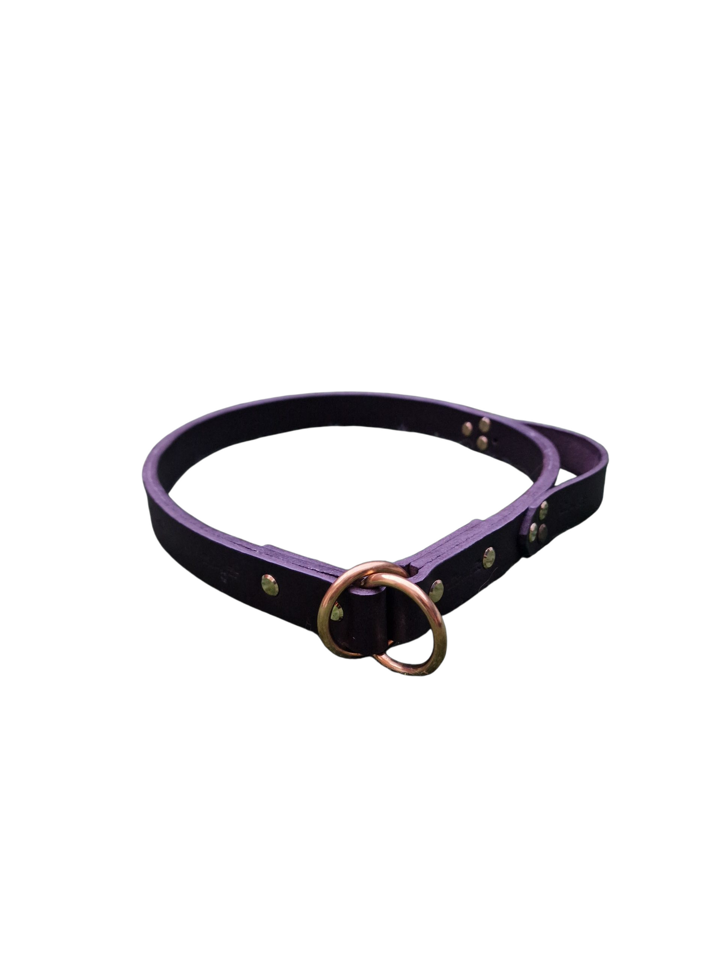 The Llandeilo Leather Slip Collar