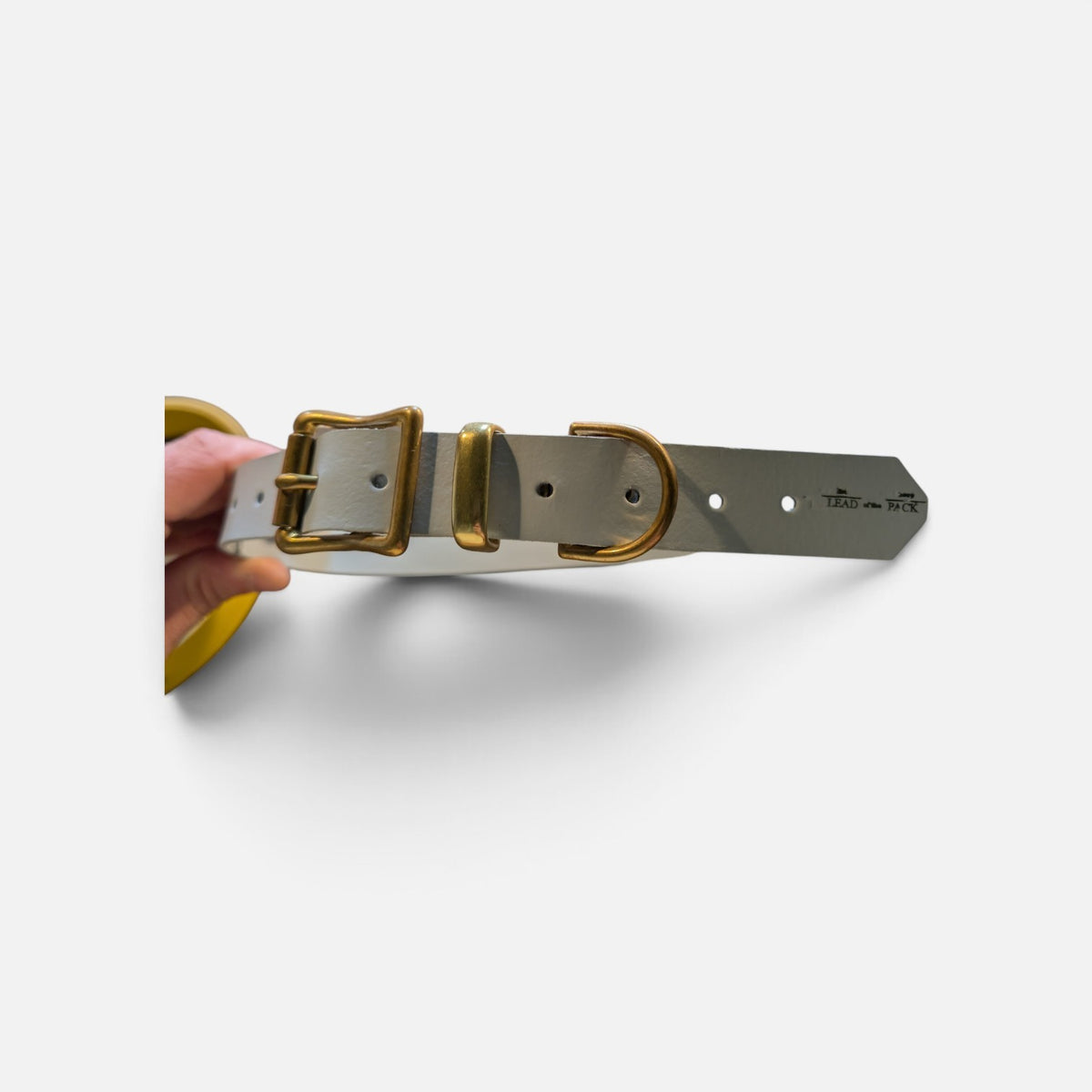 The Bluebell Collar