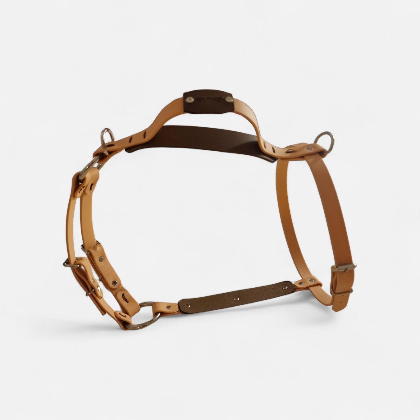 The St Clears Harness