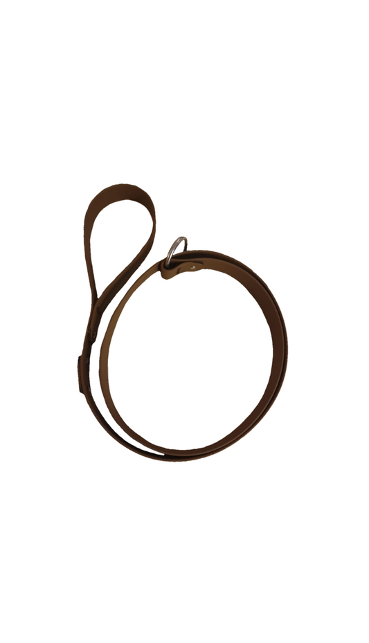 The Trelech Slip Lead