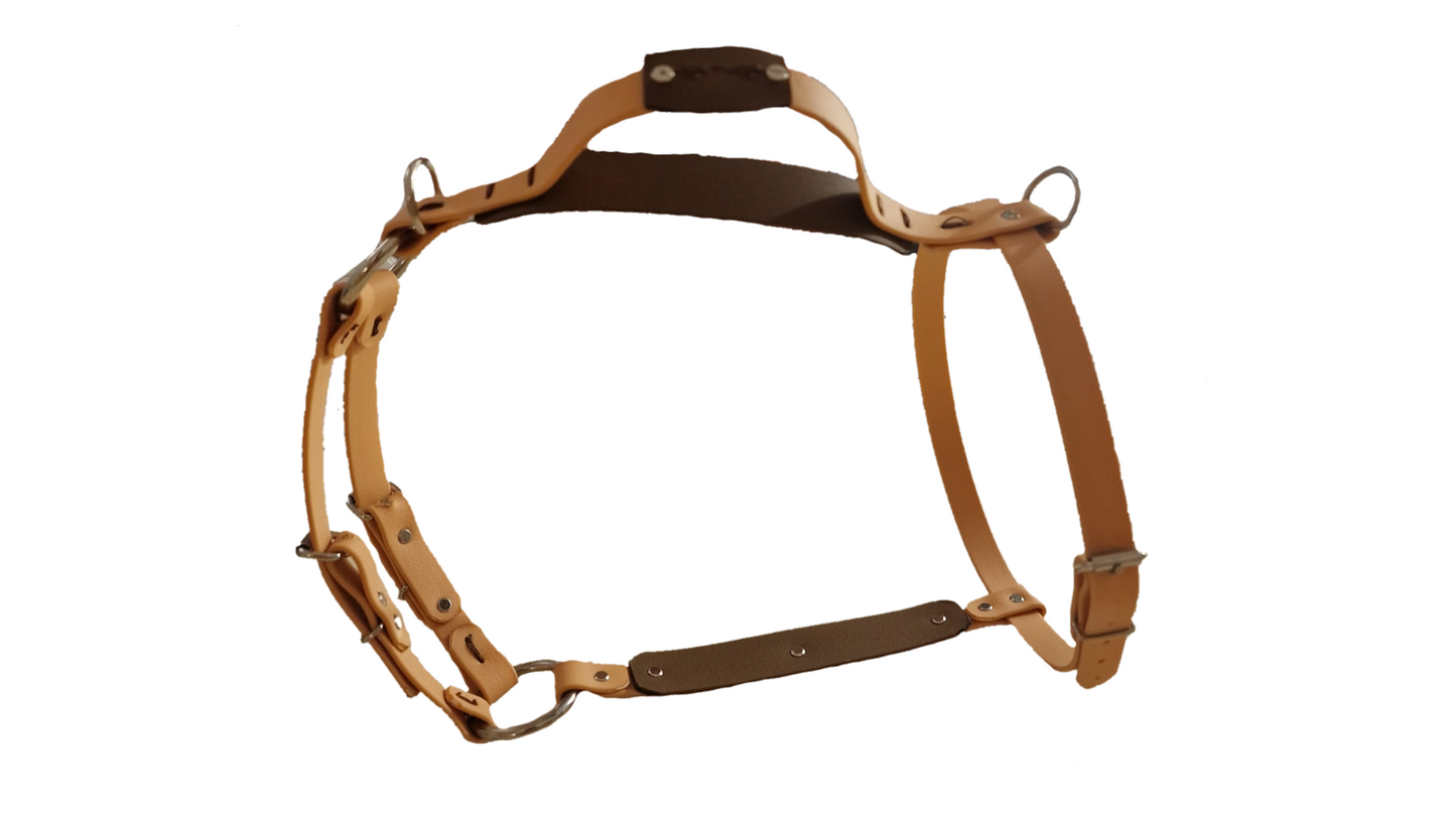 The St Clears Harness