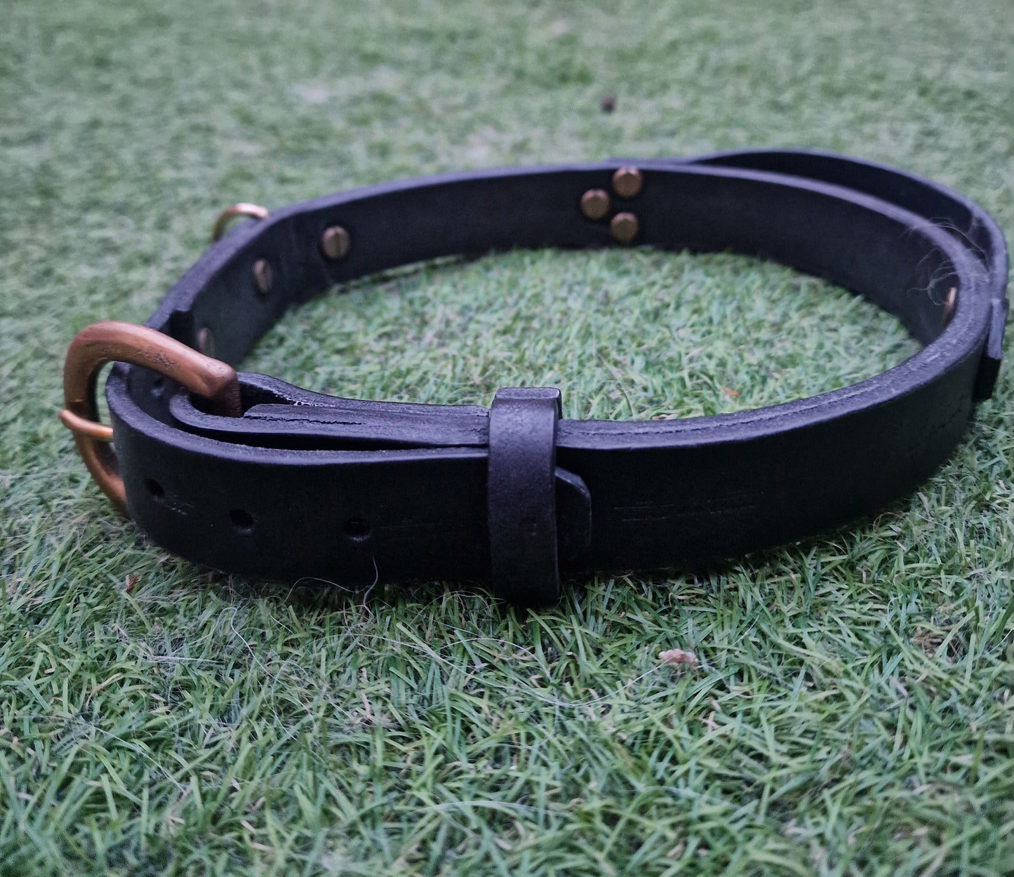The Pembroke Leather Collar