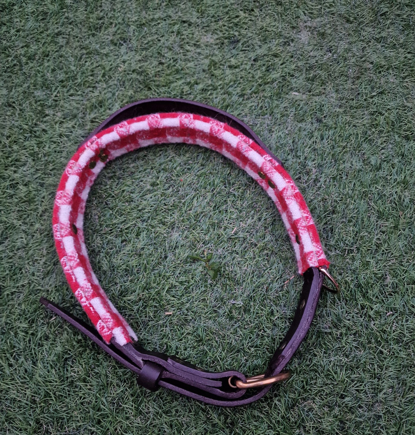 The Llanhamlach Leather Collar