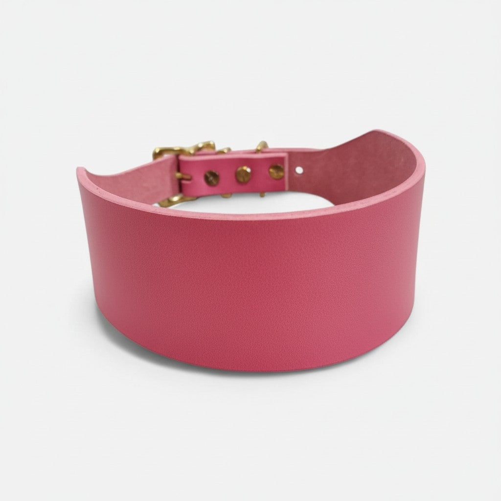 The Dale Collar