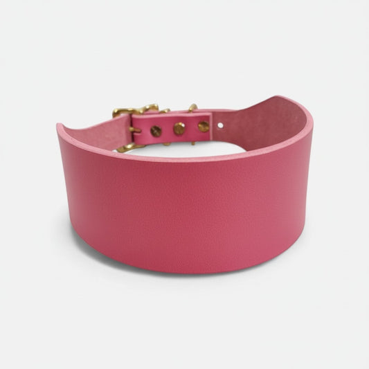 The Dale Collar