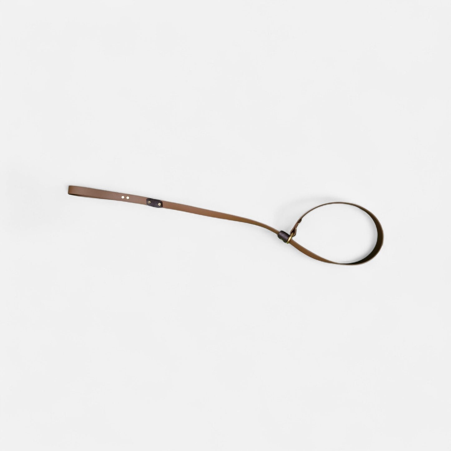 The Trelech Slip Lead