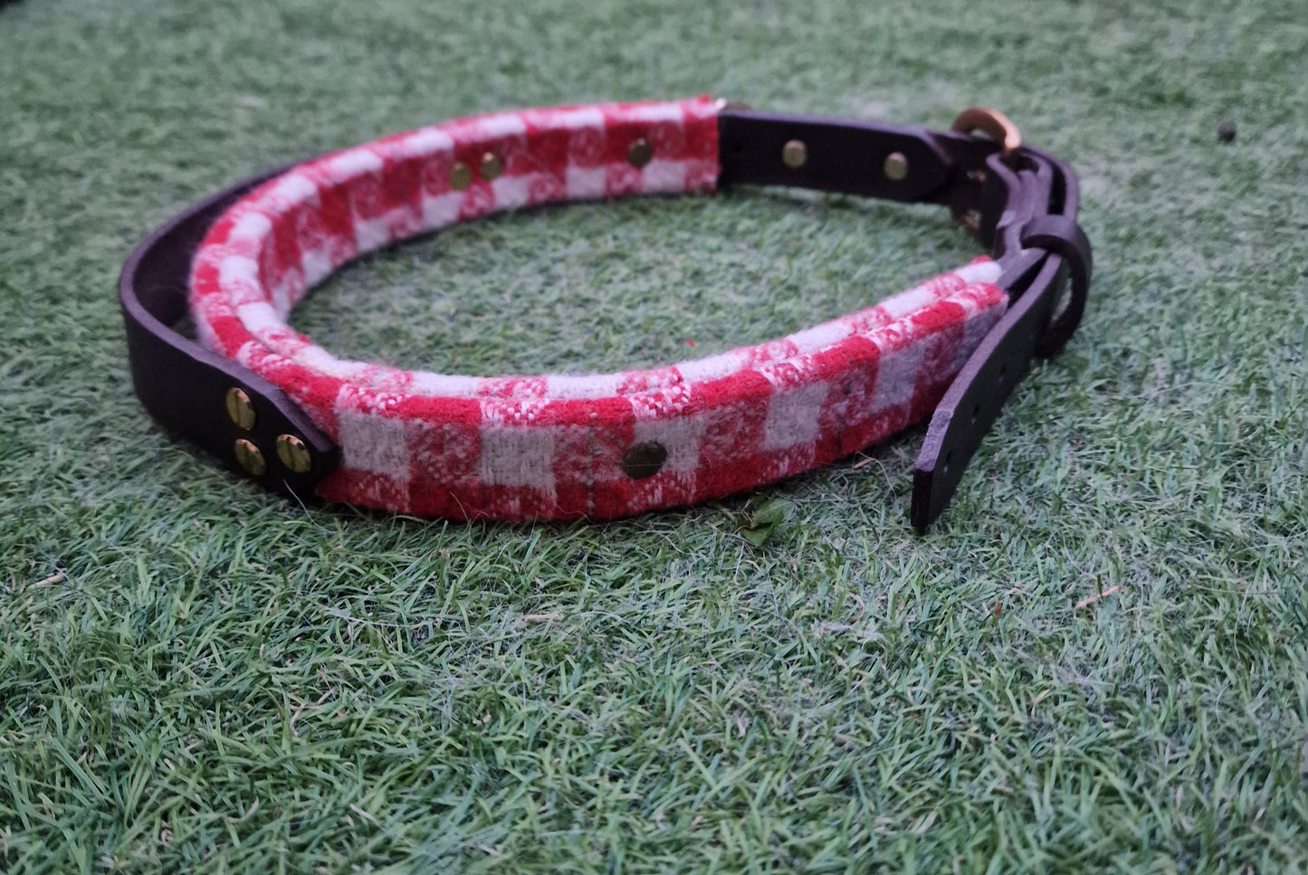 The Llanhamlach Leather Collar