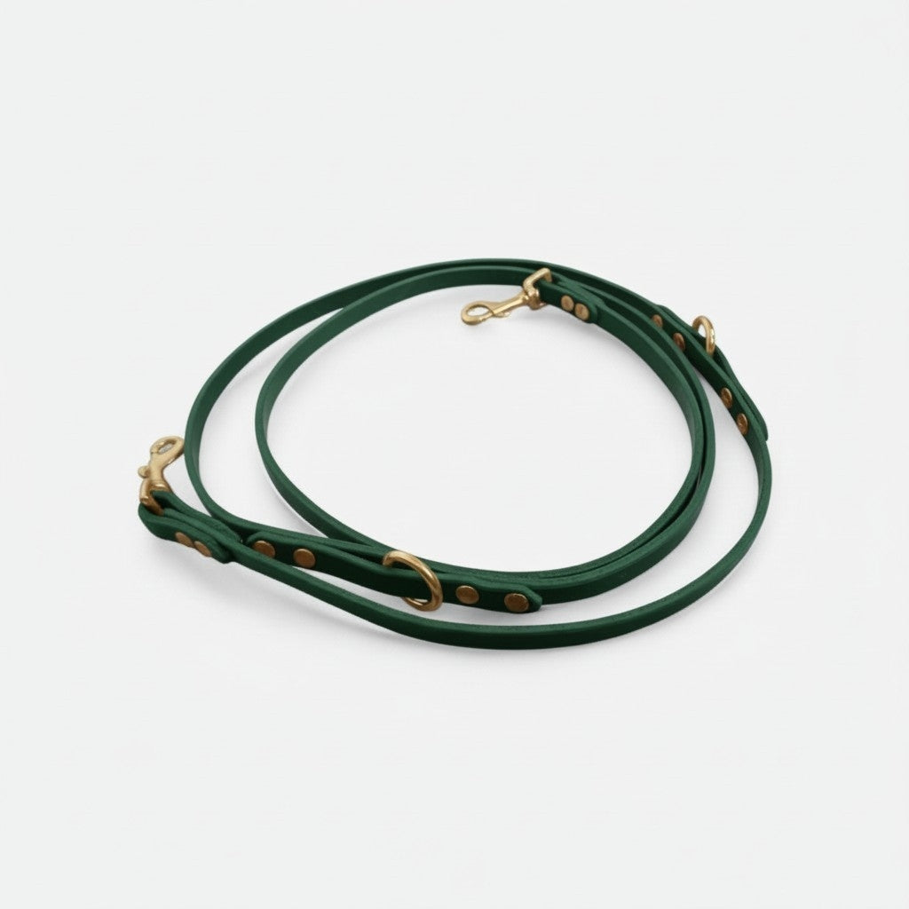 The Mwnt training lead - Bridle Leather