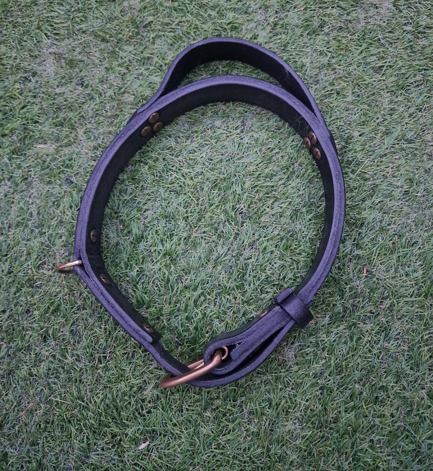 The Pembroke Leather Collar