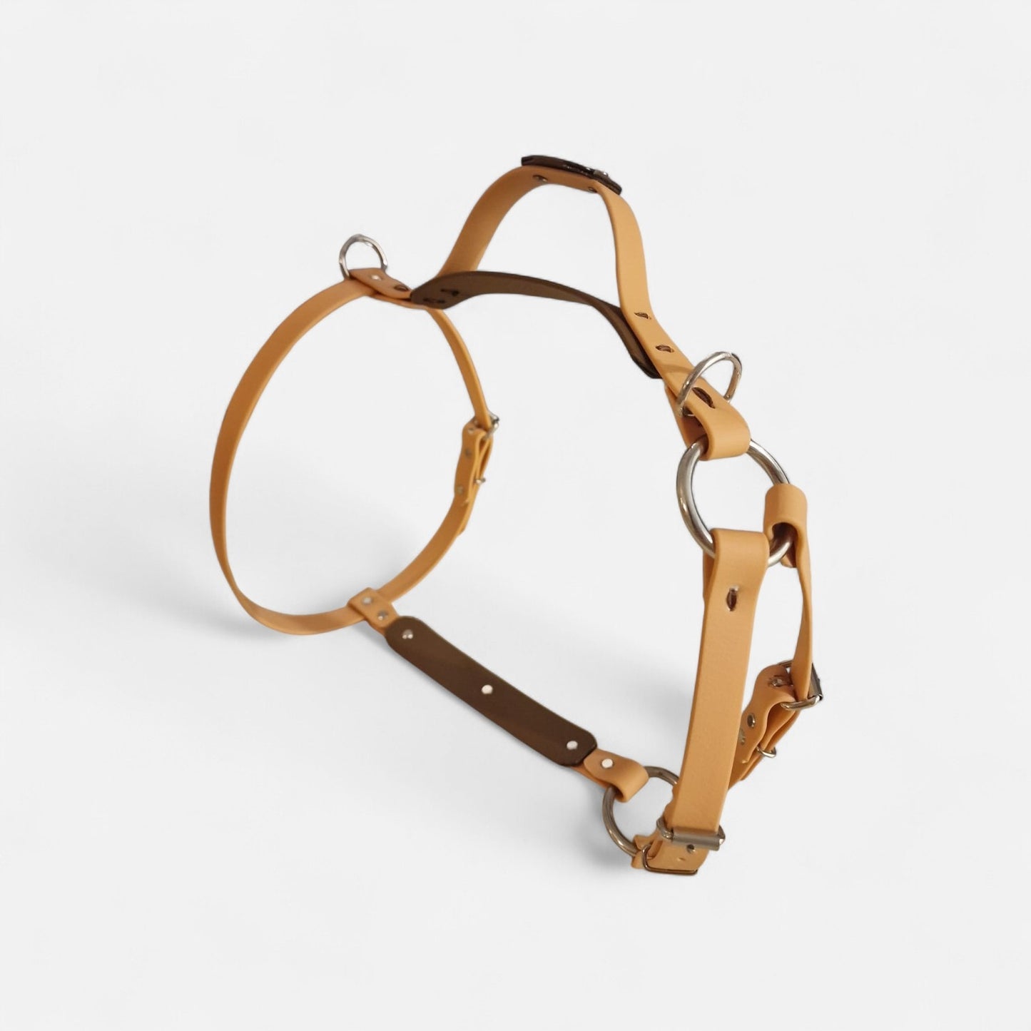 The St Clears Harness
