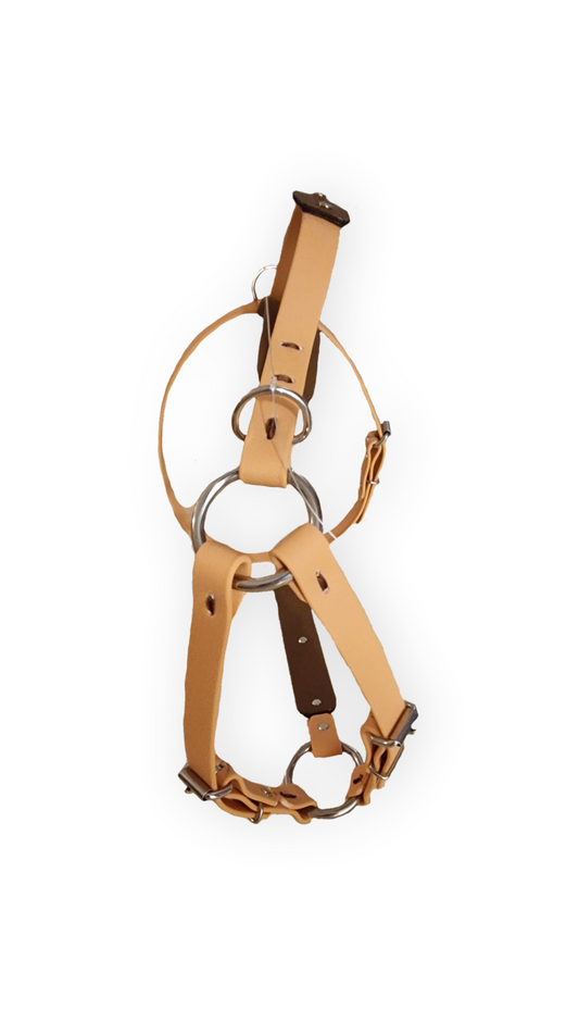 The St Clears Harness