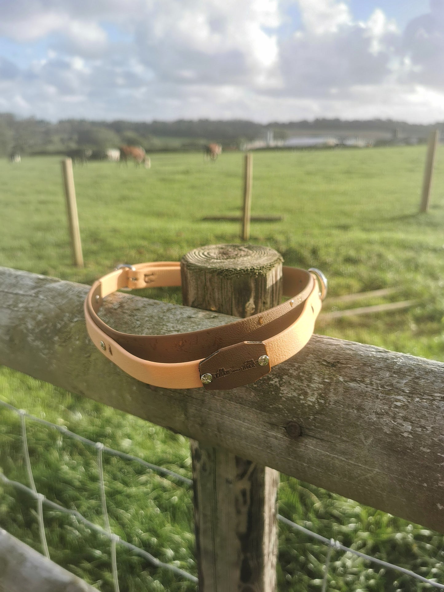 The Meidrim Collar