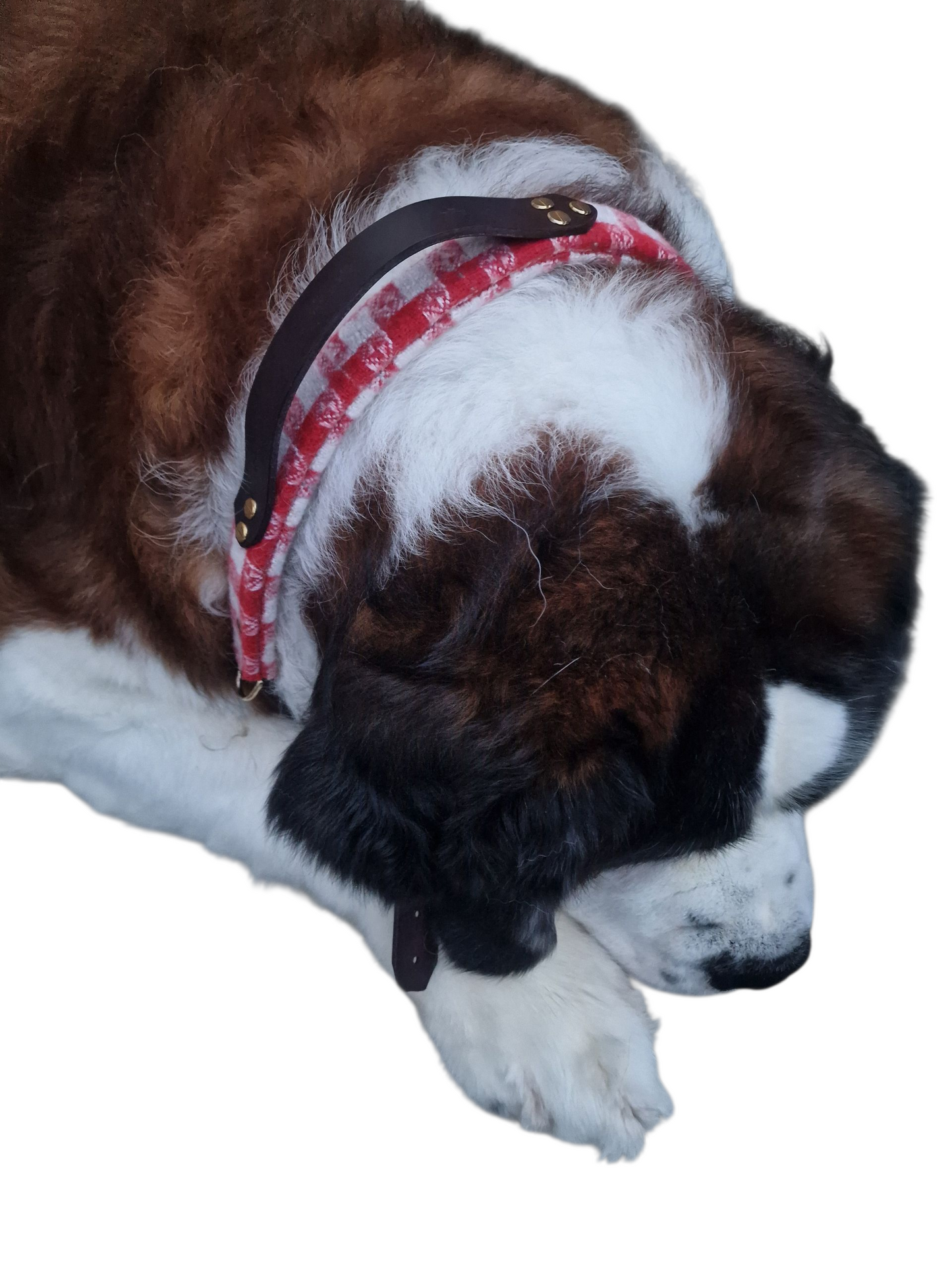 The Llanhamlach Leather Collar