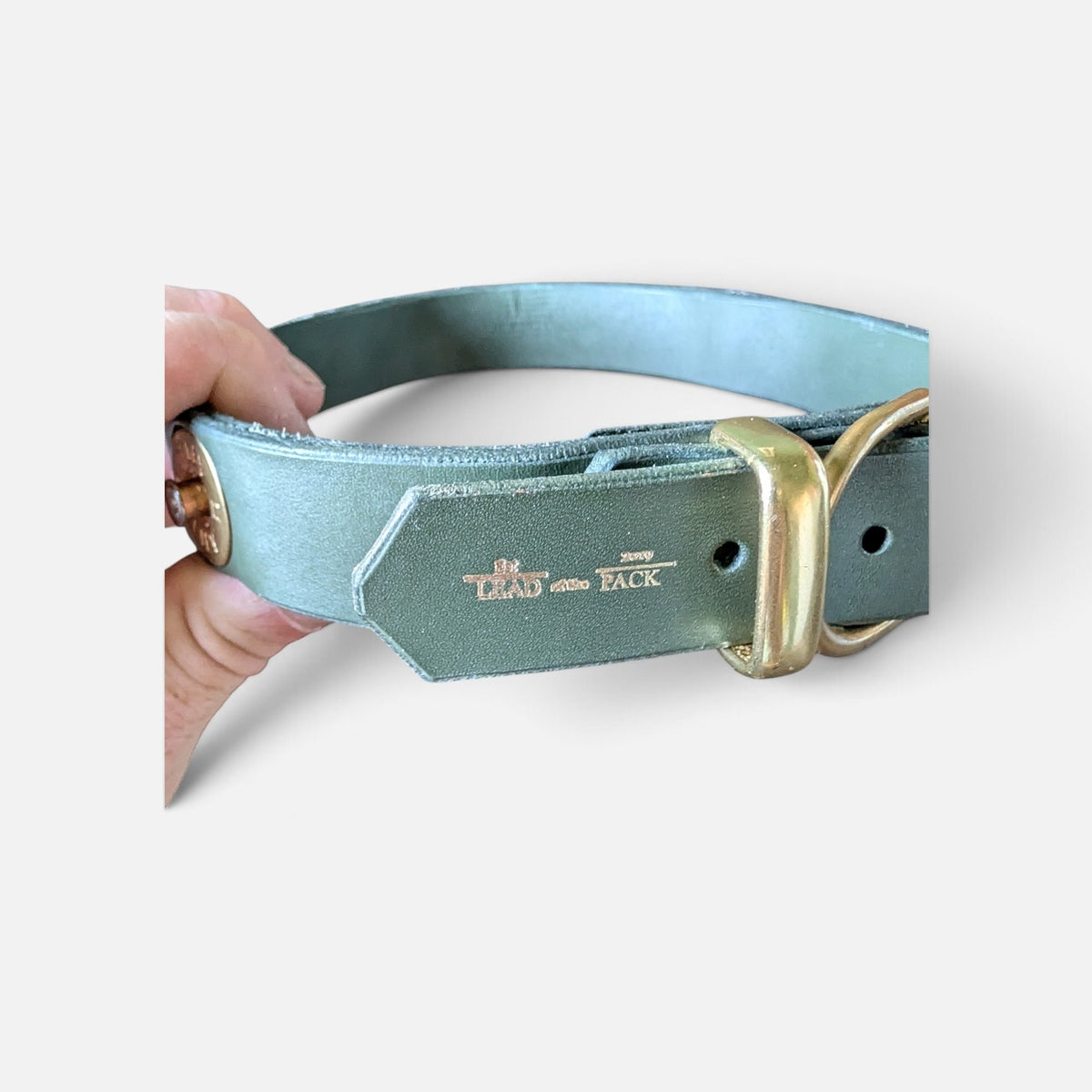 The Pheasant Collar