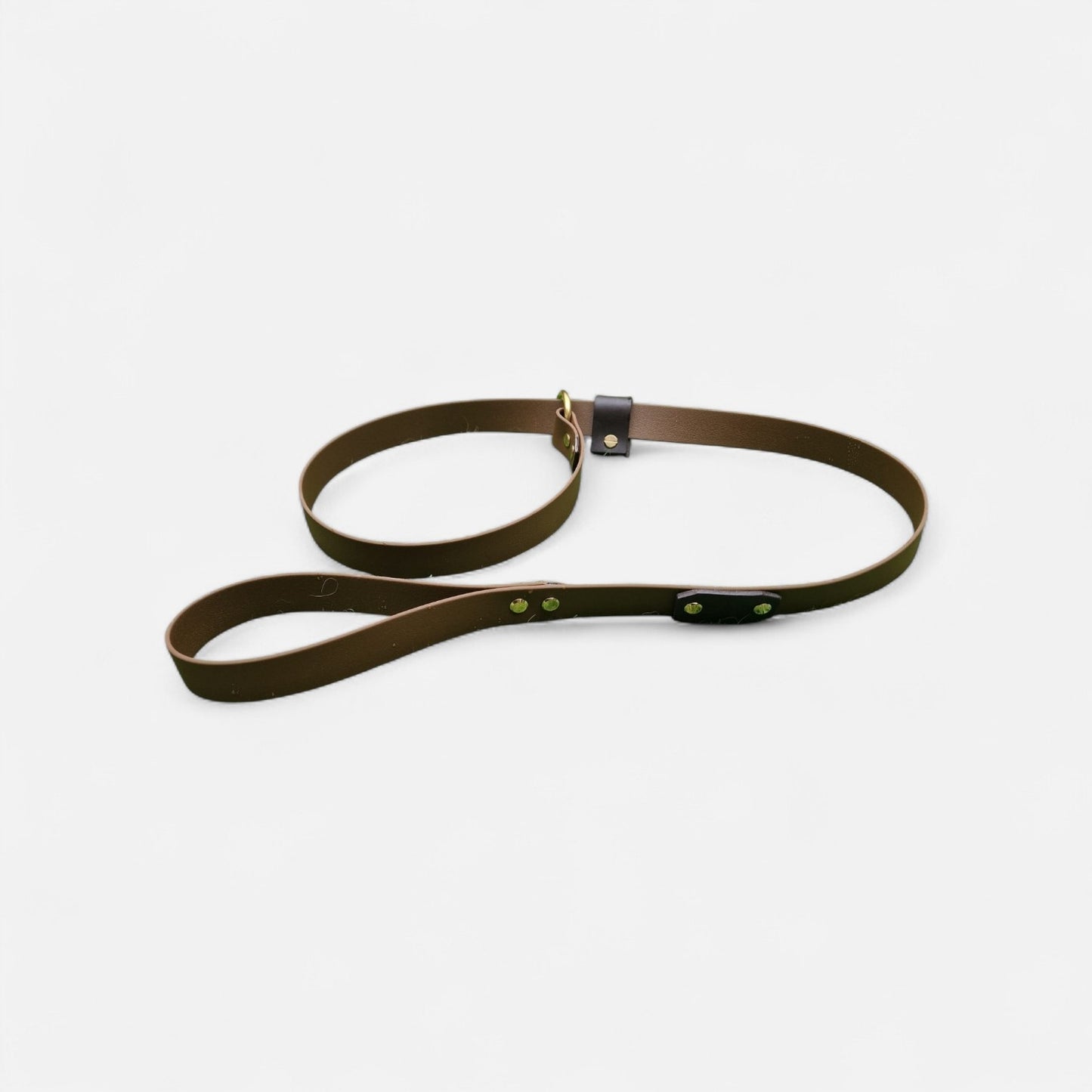 The Trelech Slip Lead