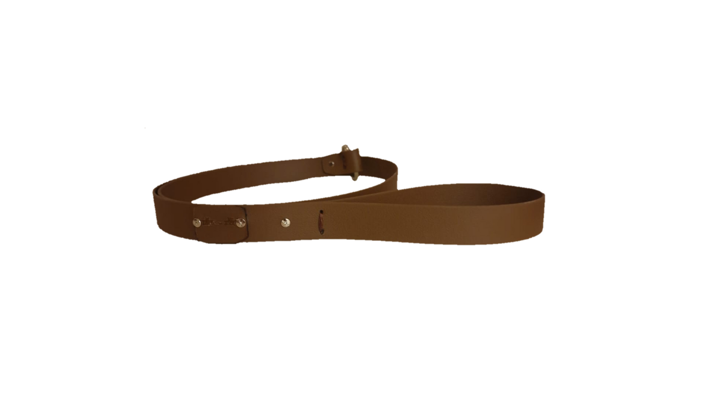 The Trelech Slip Lead