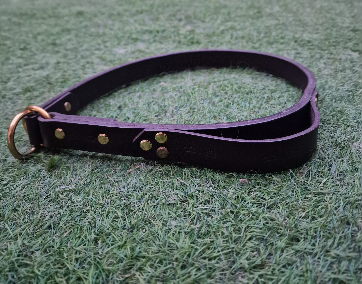 The Llandeilo Leather Slip Collar