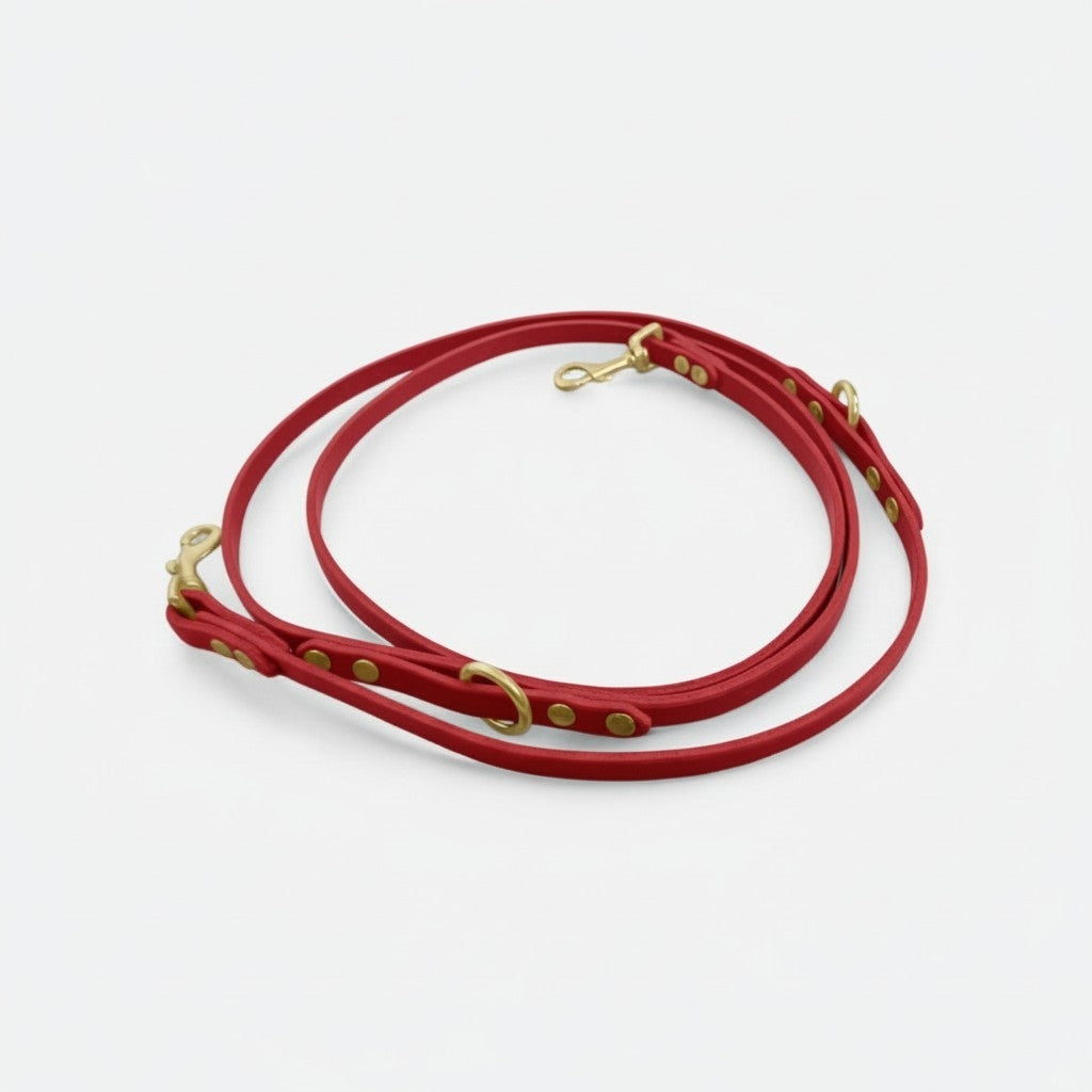 The Mwnt training lead - Bridle Leather